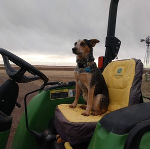 Meet your Posher, Janet